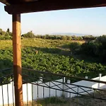Anastasis Τραπεζάκι