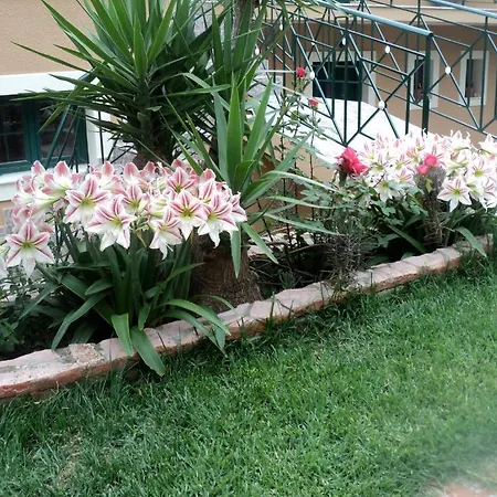 Appartamento Anastasis